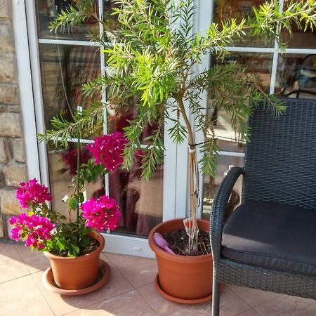 Barbara Vendeghaz Apartment Balatonfured Luaran gambar