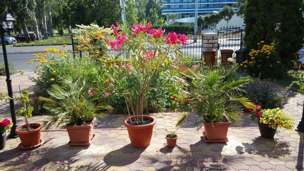 Barbara Vendeghaz Apartment Balatonfured Luaran gambar